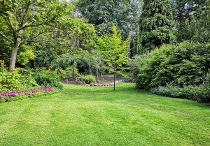 Optimiser l'expérience du jardin à Romans-sur-Isere