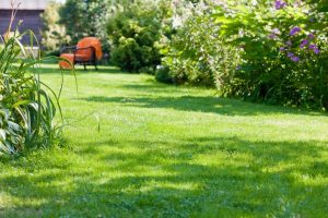 travaux jardin et paysage Romans-sur-Isere